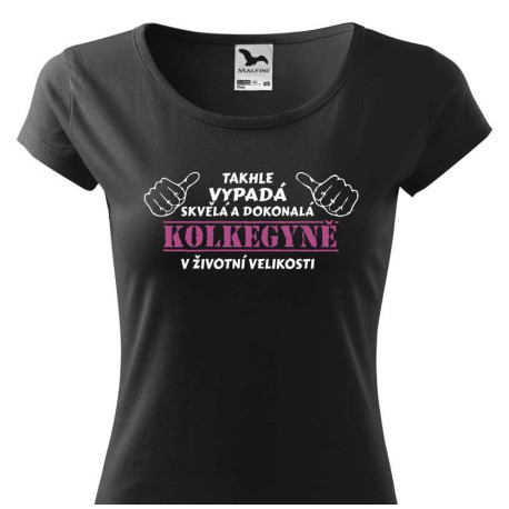 Tričko pro kolegyni - Takhle vypadá skvělá a dokonalá kolegyně v životní velikosti.