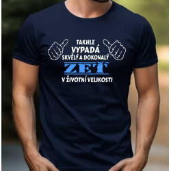 Pánské tričko - Takhle vypadá skvělý a dokonalý zeť