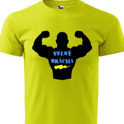 Dětské tričko - Velký brácha