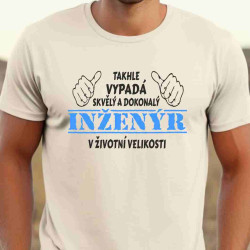 Pánské tričko - Takhle vypadá skvělý a dokonalý inženýr