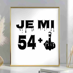 Obraz k 55. narozeninám – Je mi 54 plus prostředníček