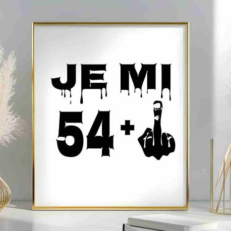 Obraz k 55. narozeninám – Je mi 54 plus prostředníček