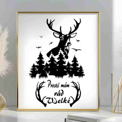 Obraz - Prostě mám rád velké