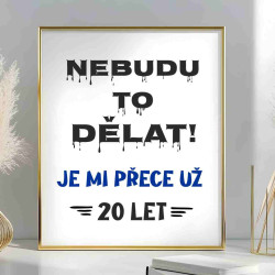 Obraz k narozeninám – Nebudu to už dělat, je mi přece 20 let