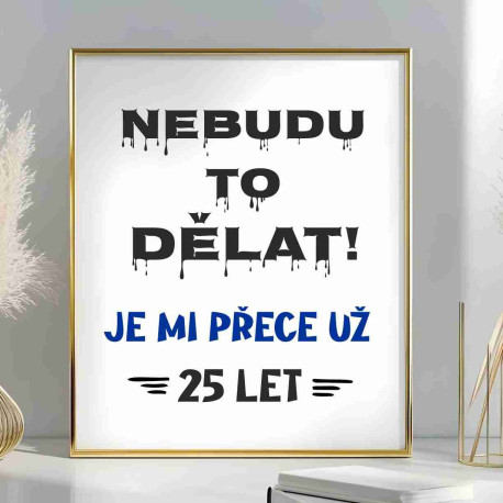 Obraz k narozeninám – Nebudu to už dělat, je mi přece 25 let