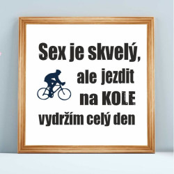 Obraz pro cyklisty – Sex je skvělý, ale jezdit na kole vydržím celý den
