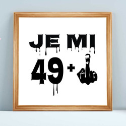Obraz k 50. narozeninám – Je mi 49 plus prostředníček