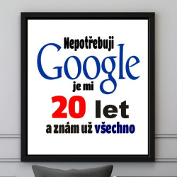 Obraz k 20. narozeninám – Nepotřebuji Google, je mi 20 let a znám už všechno