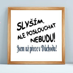 Slyším, ale poslouchat nebudu jsem už přece v důchodu - Obraz