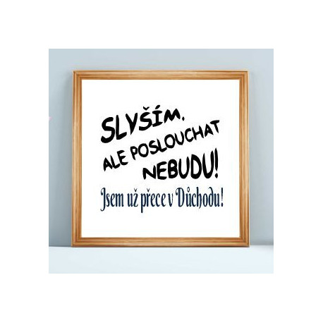 Slyším, ale poslouchat nebudu jsem už přece v důchodu - Obraz