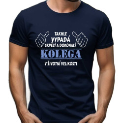 Pánské tričko Takhle vypadá skvělý KOLEGA v životní formě