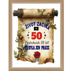 Obraz - Život začíná v 50 letech, posledních 49 let byla jen praxe