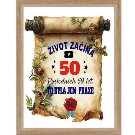 Obraz - Život začíná v 50 letech, posledních 49 let byla jen praxe